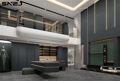 SNEJ TOP Tasting Center, Creating A Professional Aesthetic Experience