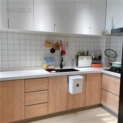Modern Elegant Kitchen Cabinets