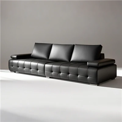 Sectional Couches